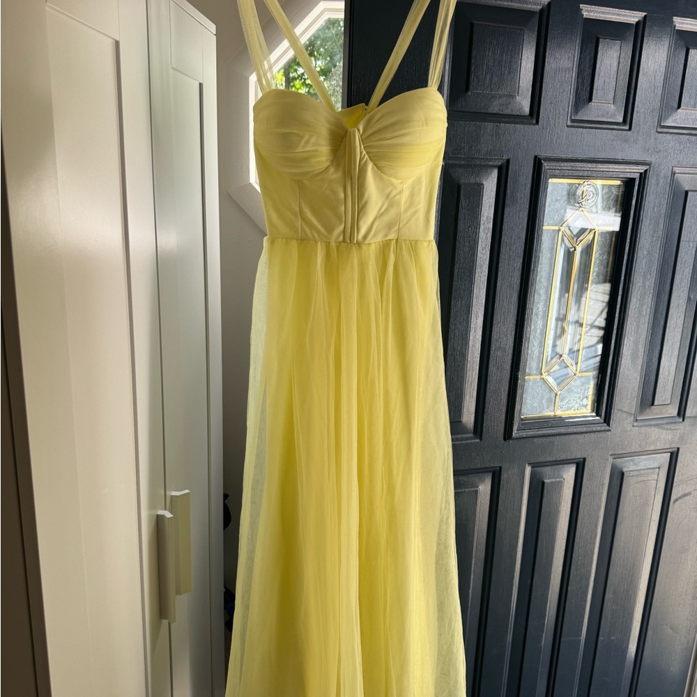 Selfie Leslie Surreal Lace - Up Back Tulle Midi Dress